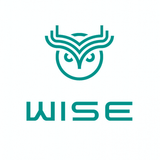 Wat is Wise Token