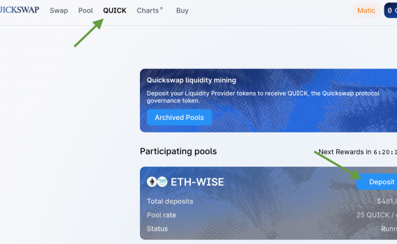 WISE LP Tokens Quickswap