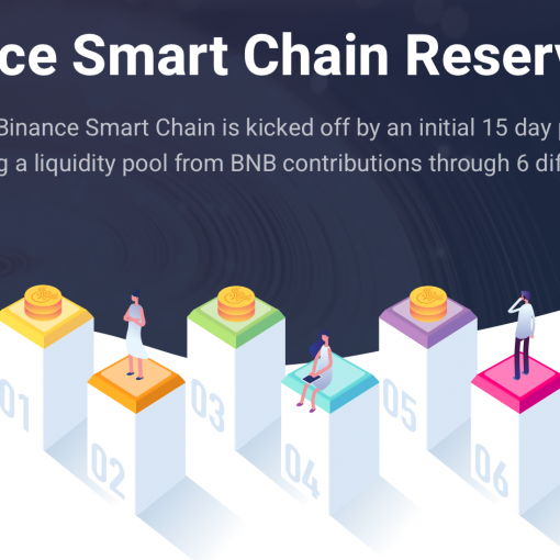 WISE Binance Smart Chain Reservations kopen pre sale