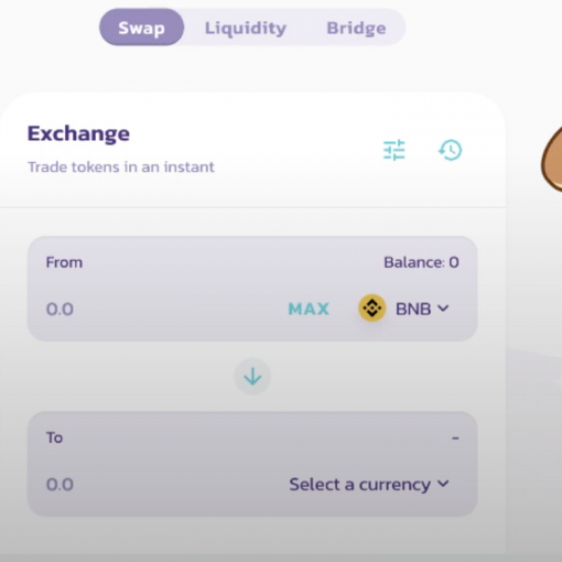 Wise Binance Smart Chain kopen pancakeswap